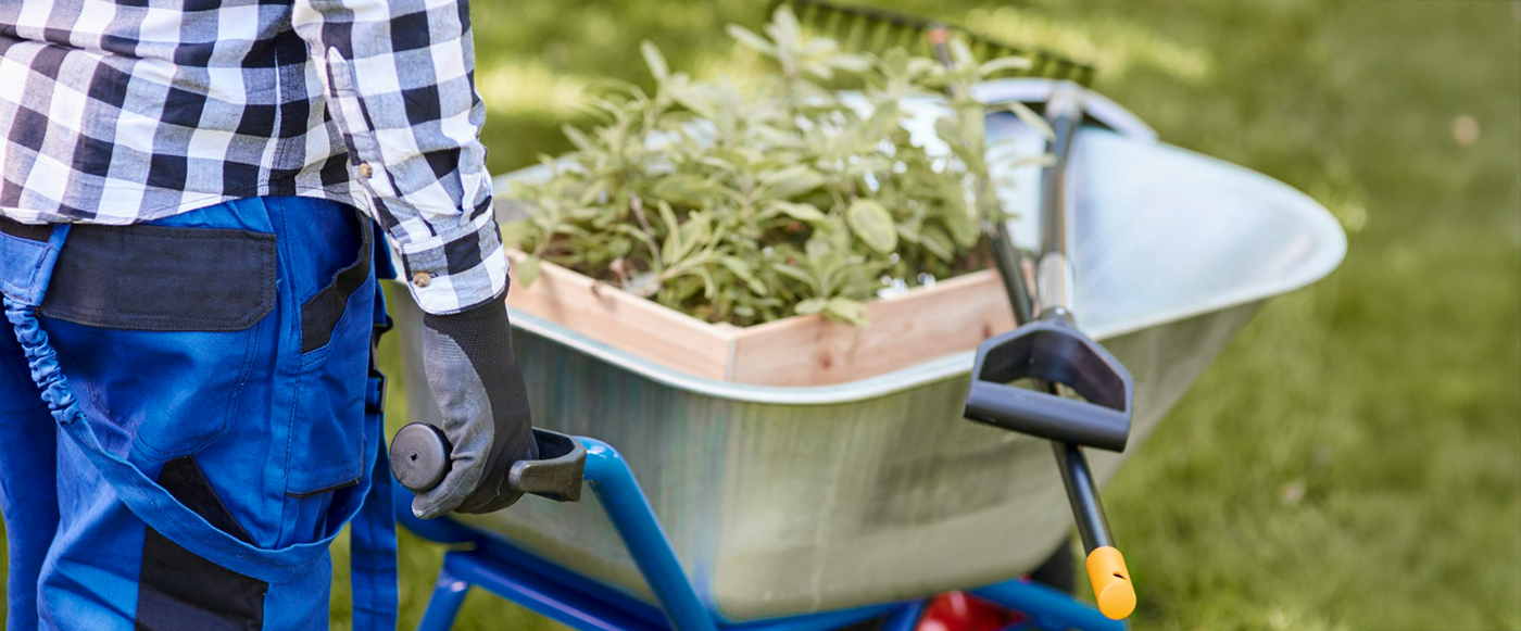 Manual de seguridad y salud en jardinería